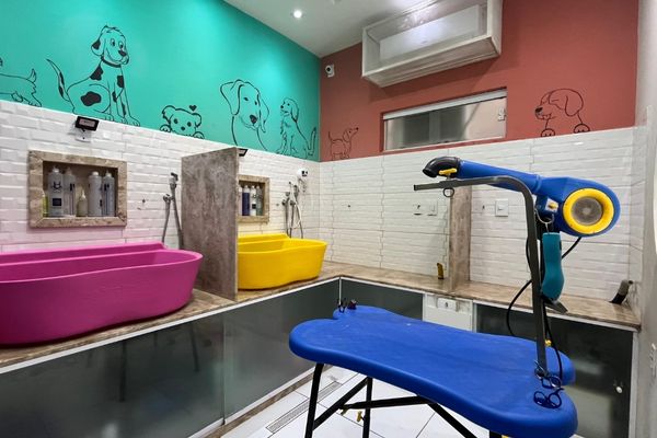 Área de Estética e Banho