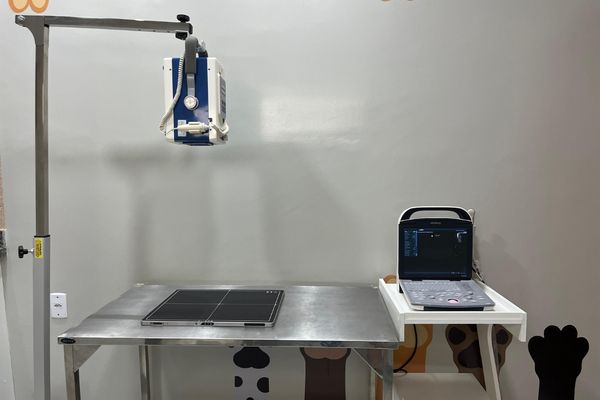 Tecnologia de Raio-X e Ultrassom